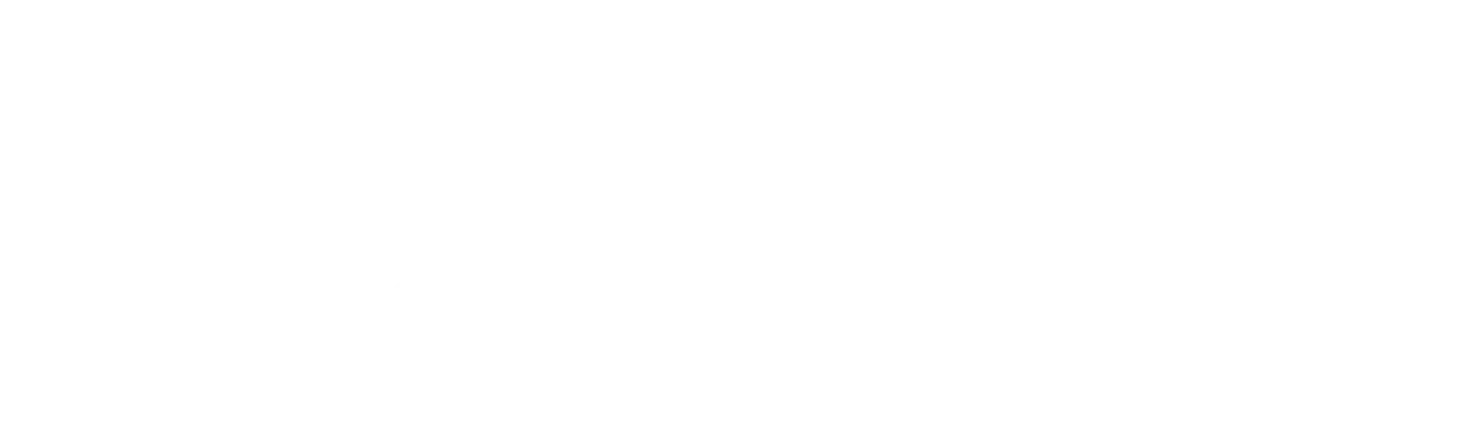 Ari Daniel Bradshaw for State House - White Logo
